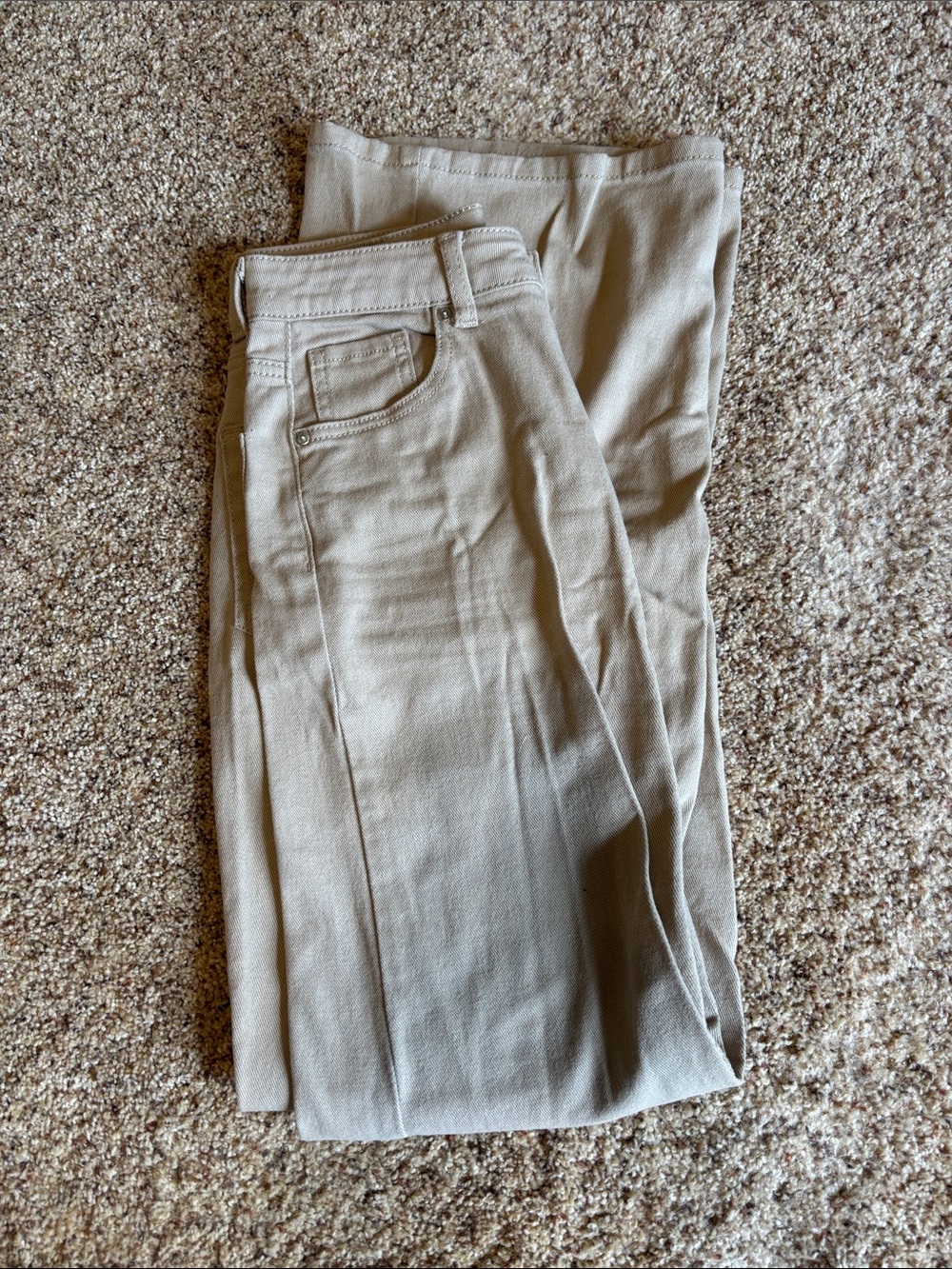 Men's Classic Straight-Leg Pants in Beige